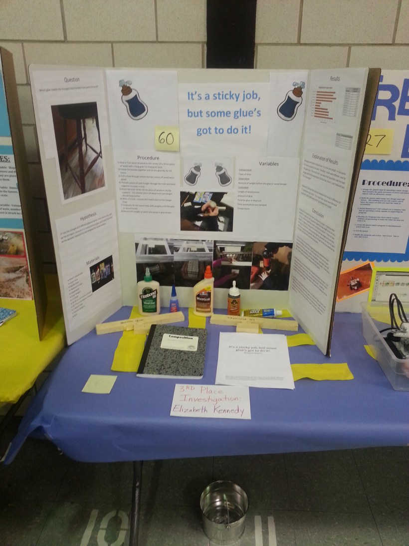 3rd place - Science Fair