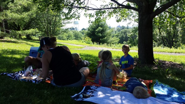 Picnic in Cornell Plantations
