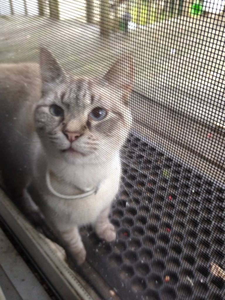 Look what appeared at my back door